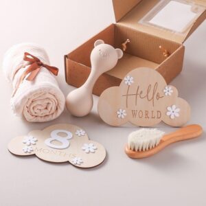Baby Silicone Maracas Rattle & Milestone Cards Photography Set – Newborn Essentials